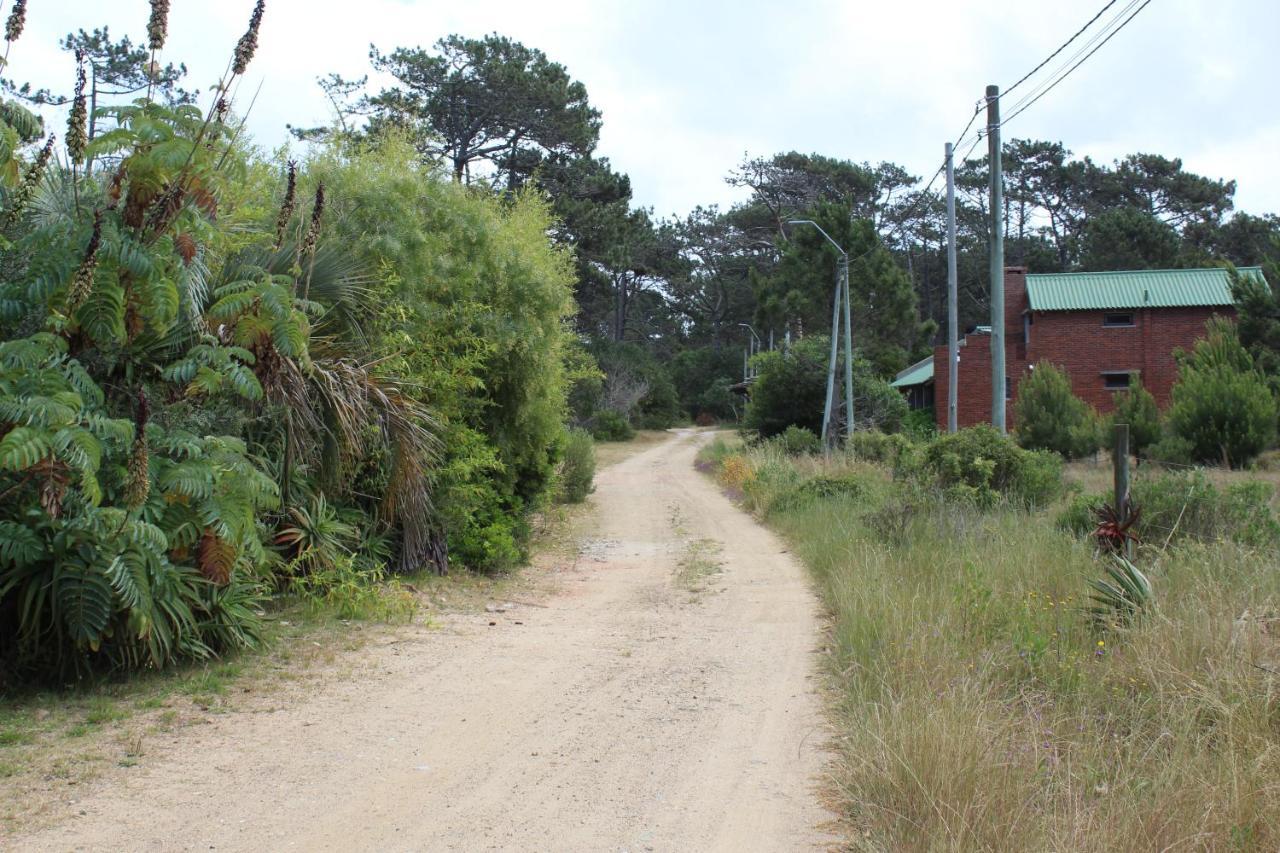 La Paloma Containers Suites Dış mekan fotoğraf